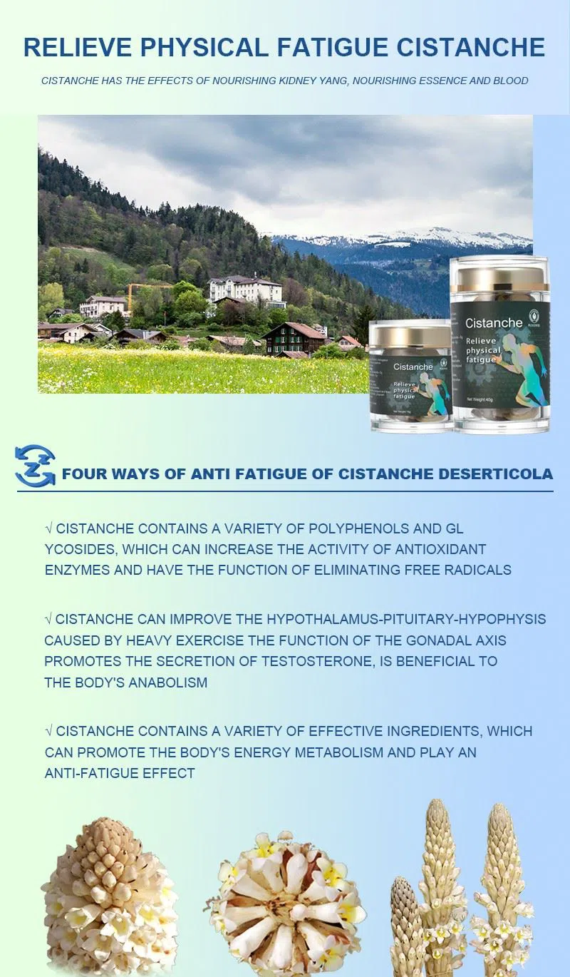 Anti fatigue cistanche