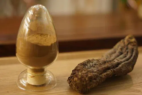 kidney tonify herbs kidney tonify herbs
