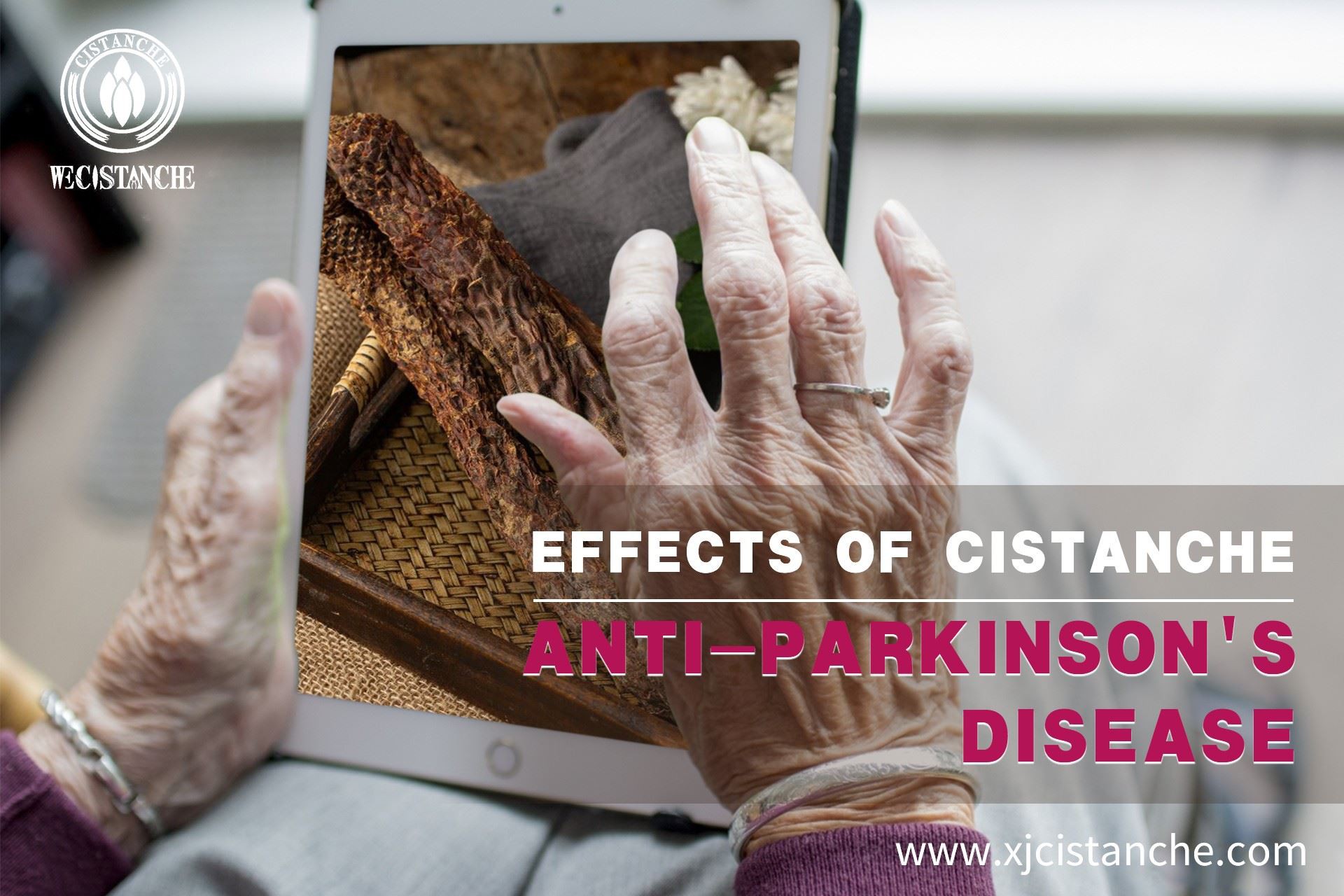 how CISTANCHE to treat parkinson's disease