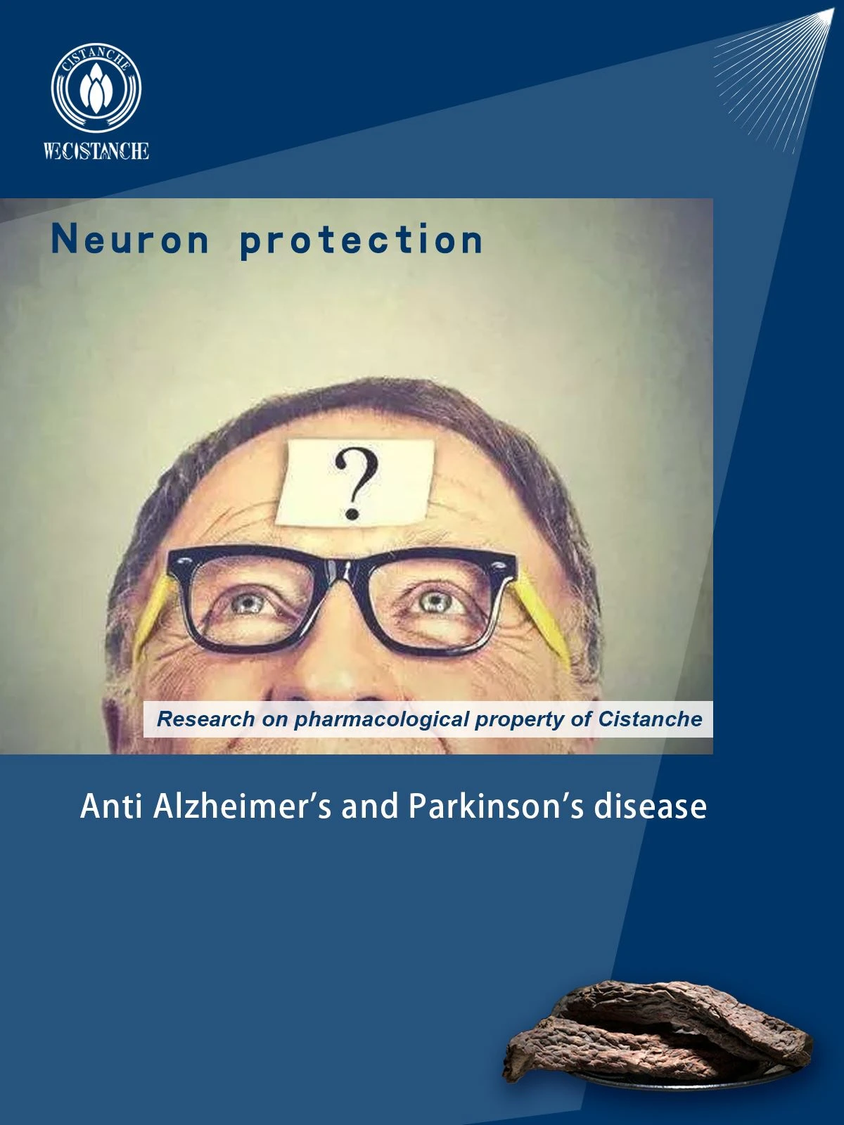 Anti Alzheimer's