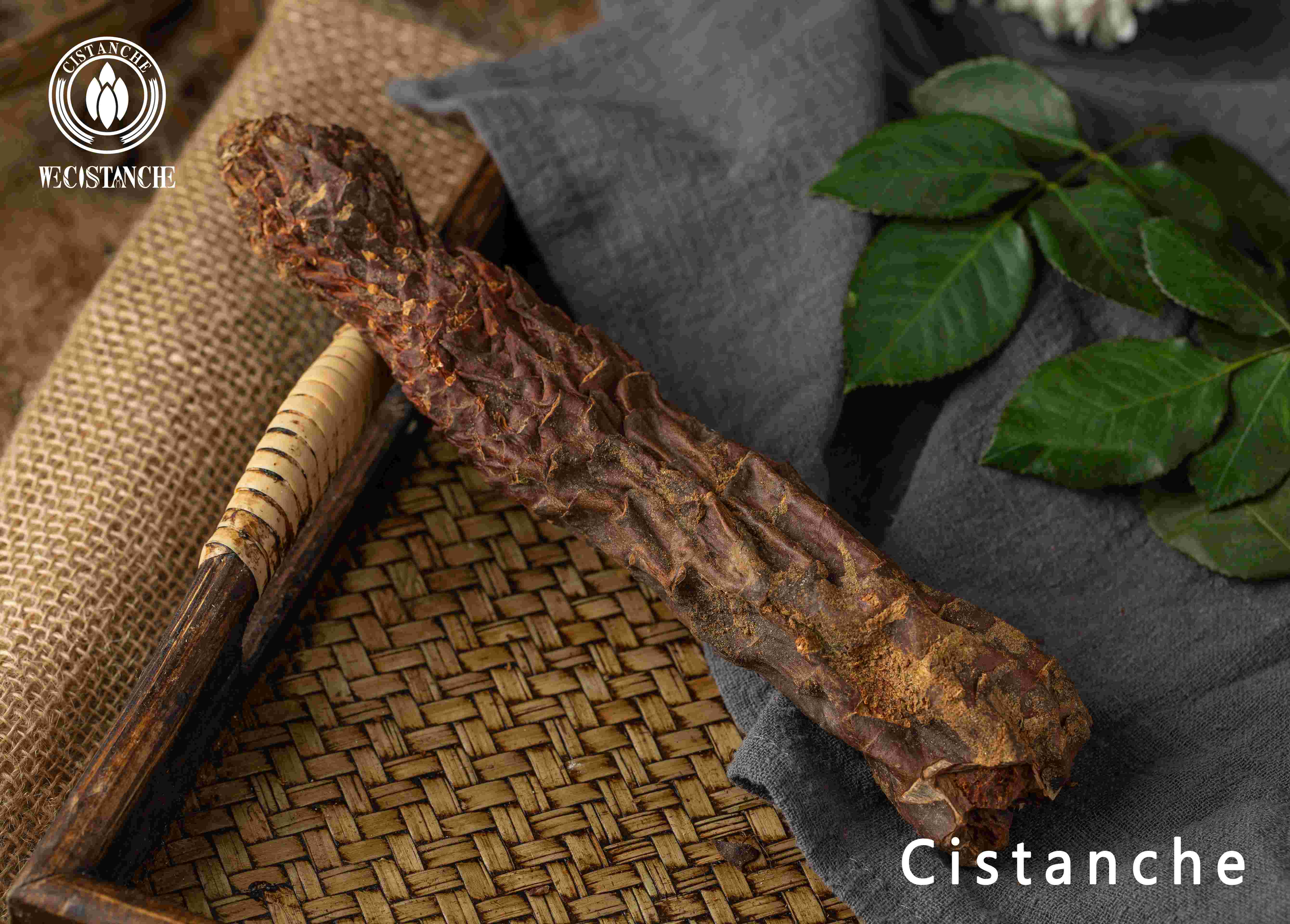 Air-dried Cistanche
