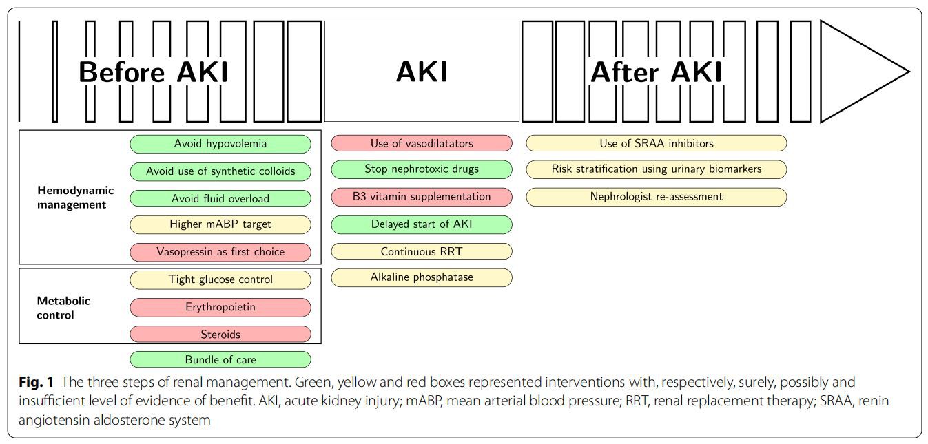 Fig. 1 The three steps of renal management. Green, yellow and red boxes represented interventions with, respectively, surely, possibly and insufcient level of evidence of beneft. AKI, acute kidney injury; mABP, mean arterial blood pressure; RRT, renal replacement therapy; SRAA, renin angiotensin aldosterone system Fig. 1 The three steps of renal management. Green, yellow and red boxes represented interventions with, respectively, surely, possibly and insufcient level of evidence of beneft. AKI, acute kidney injury; mABP, mean arterial blood pressure; RRT, renal replacement therapy; SRAA, renin angiotensin aldosterone system