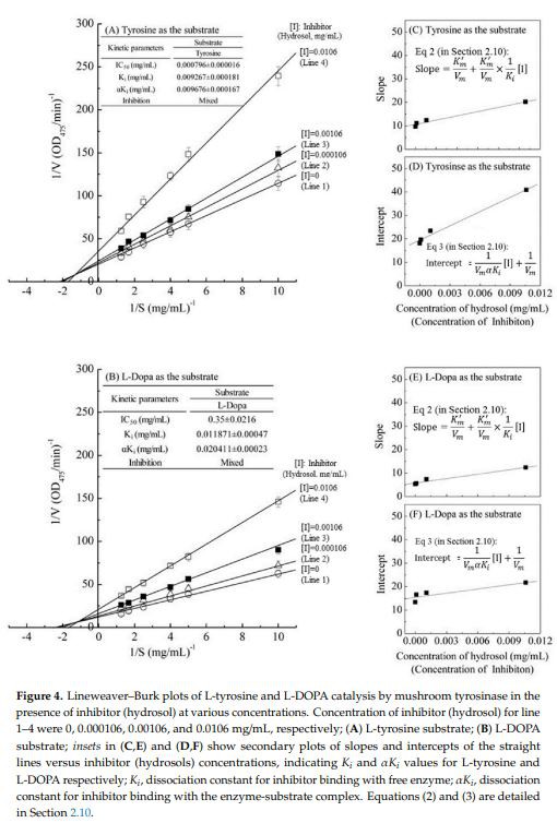 Figure 4. Lineweaver–Burk plots of L-tyrosine and L-DOPA catalysis by mushroom tyrosinase in the presence of inhibitor (hydrosol) at various concentrations