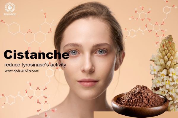 reduce tyrosinase activity