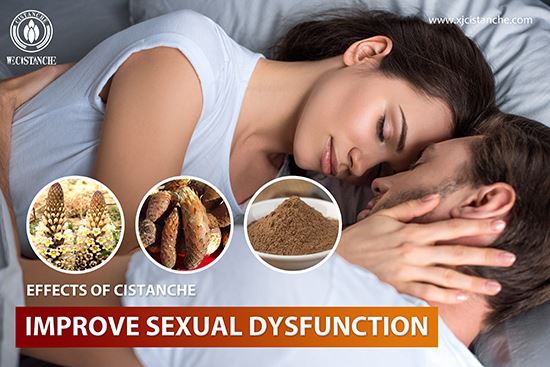 cistanches can treat sexual dysfunction
