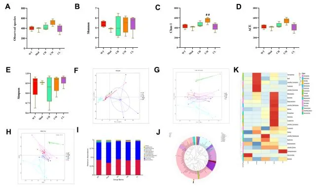 Figure 4. CDPS treatment restores gut microbial composition in the D-galactose-induced aging model mice.