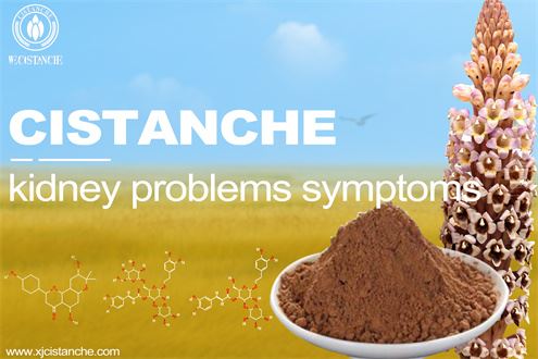 cistanche tubulosa extract cistanche tubulosa extract