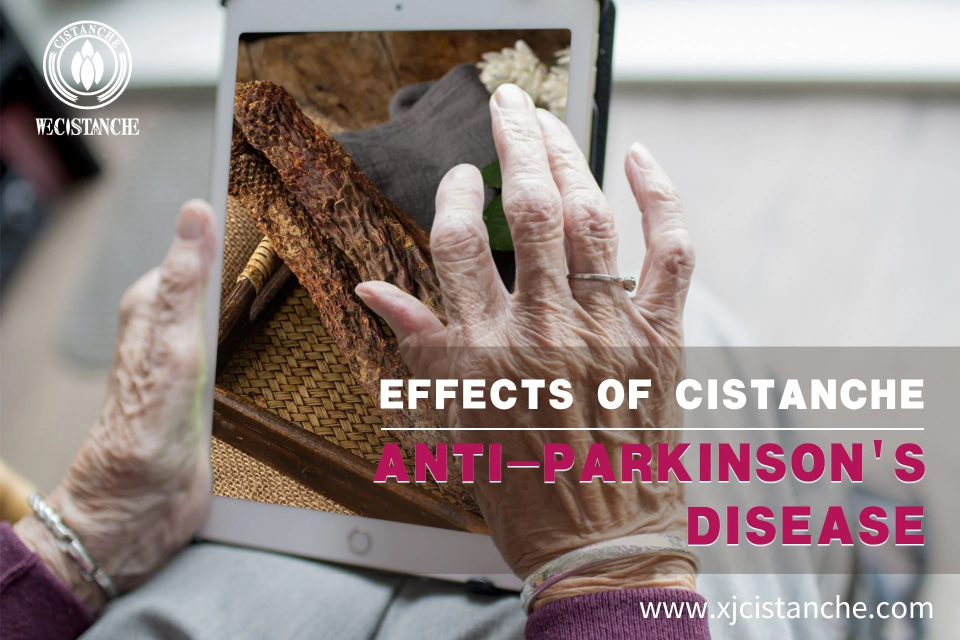 how to prevent parkinson's disease how to prevent parkinson's disease