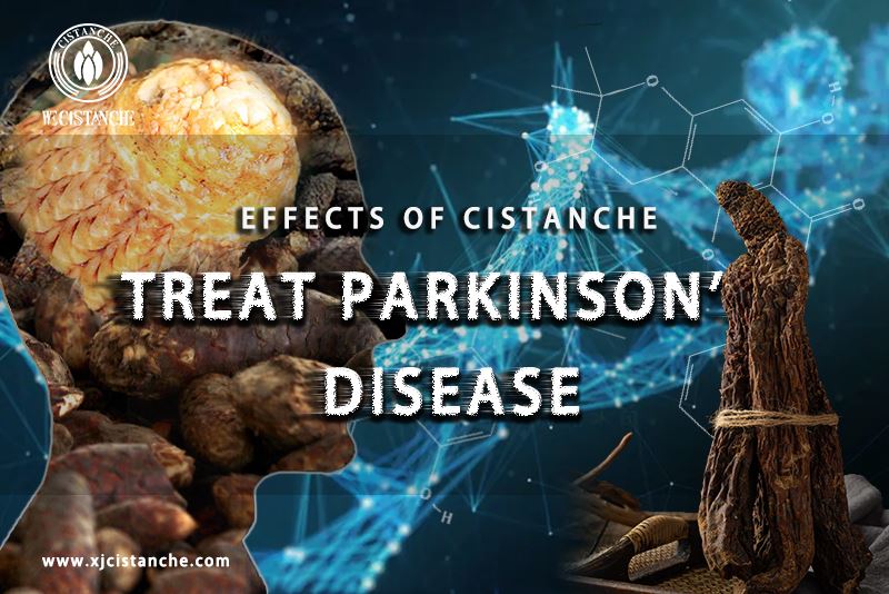 the herb for parkinson's disease the herb for parkinson's disease