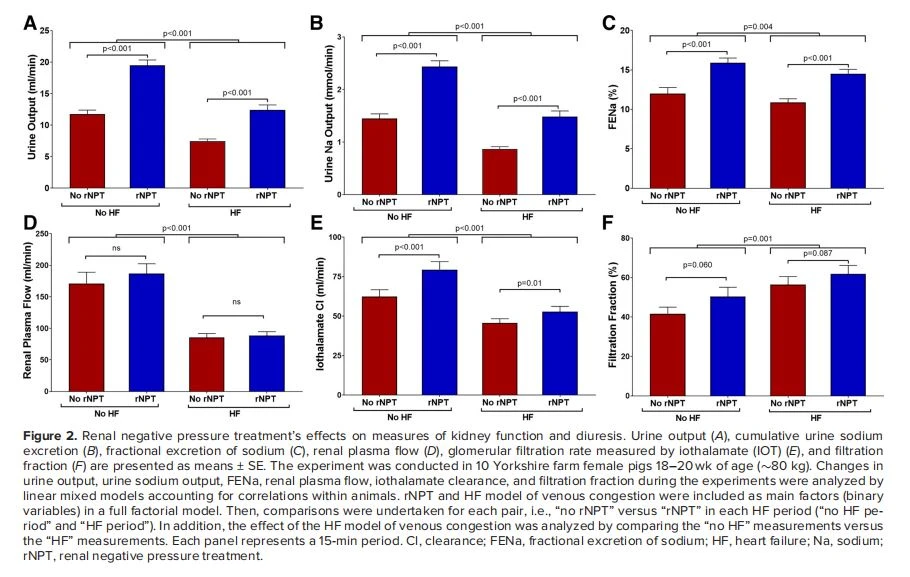 Renal negative pressure treatment's effects on measures of kidney function and diuresis Renal negative pressure treatment's effects on measures of kidney function and diuresis