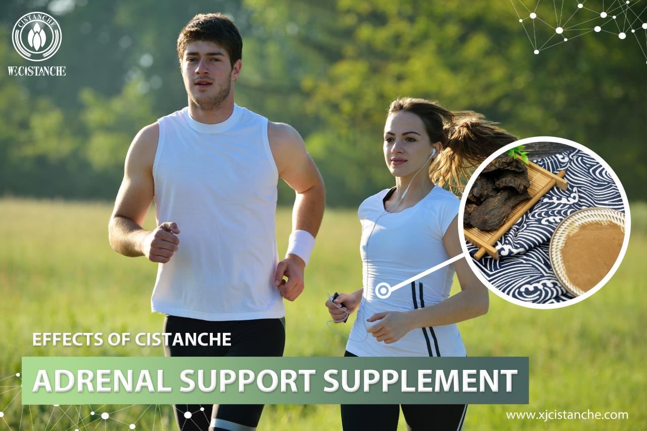 effects of cistanche:adrenal support supplement effects of cistanche:adrenal support supplement