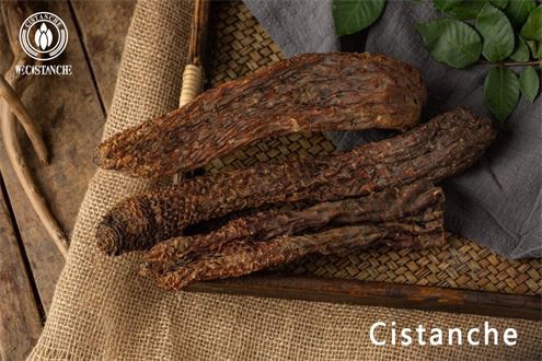 5b978a131d7418a331ee8c3d104893c