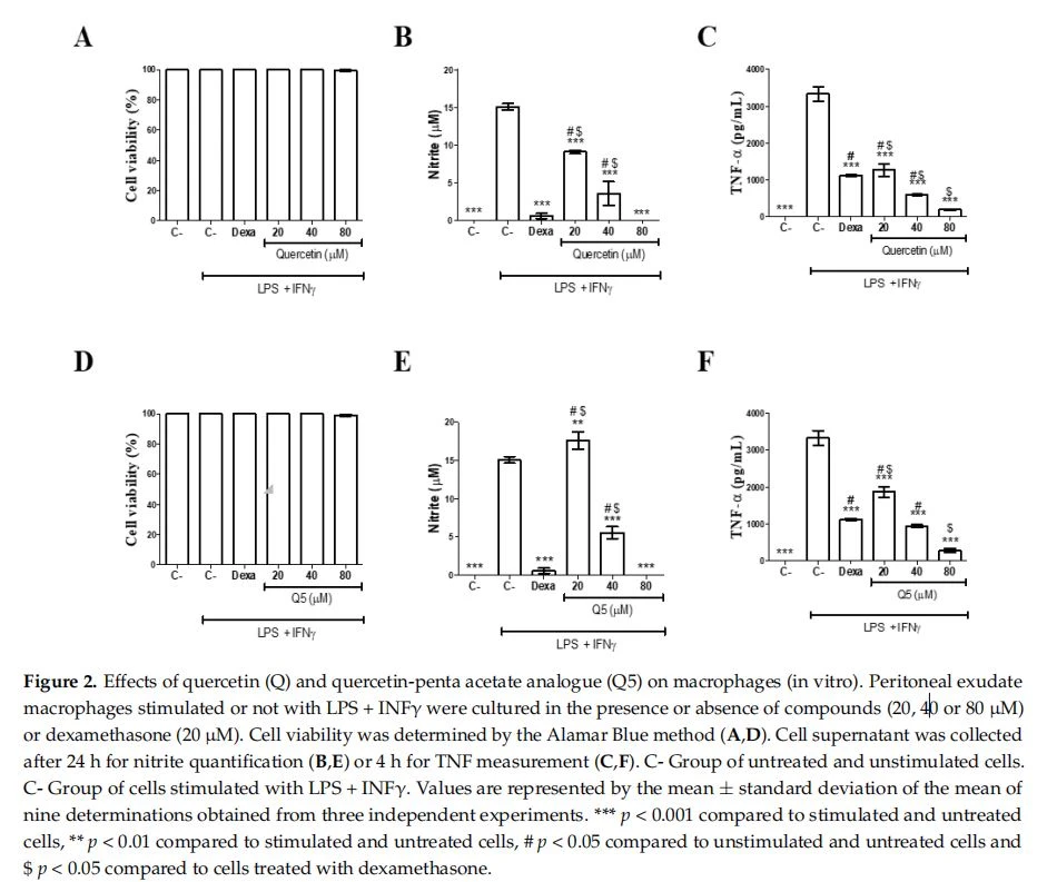 Effects of quercetin (Q) and quercetin‐penta acetate analogue (Q5) on macrophages (in vitro). Peritoneal exudate macrophages stimulated or not with LPS + INF–γ were cultured in the presence or absence of compounds (20, 40 or 80 μM) or dexamethasone (20 μM). Cell viability was determined by the Alamar Blue method (A,D). Cell supernatant was collected after 24 h for nitrite quantification (B,E) or 4 h for TNF measurement (C,F). C‐ Group of untreated and unstimu‐ lated cells. C‐ Group of cells stimulated with LPS + INF–γ. Values are represented by the mean ± standard deviation of the mean of nine determinations obtained from three independent experiments. *** p < 0.001 compared to stimulated and untreated cells, ** p < 0.01 compared to stimulated and untreated cells, # p < 0.05 compared to unstimulated and untreated cells and $ p < 0.05 compared to cells treated with dexamethasone. The reduction of inflammatory factors by quercetin is diversely described, including modulation for Th‐2 inflammatory profiles,related to protection in neural diseases [31,32]. The anti‐inflammatory action of quercetin is well described in the literature [33,34]. How‐ ever, there are few studies that demonstrate the anti‐inflammatory potential of the Q5 analogue. This study corroborates the findings of Chen et al. [35], who evidenced the role of Q and Q5 in the inhibition of the NO production induced by LPS, in a concentration‐ dependent manner without deleterious cytotoxic effects for the RAW 264.7 macrophage lineage. Furthermore, this study demonstrated the unprecedented effect of Q5 in inhibit‐ ing the pro‐inflammatory cytokine TNF. Figure 2. Effects of quercetin (Q) and quercetin-penta acetate analogue (Q5) on macrophages (in vitro). Peritoneal exudate macrophages stimulated or not with LPS + INFγ were cultured in the presence or absence of compounds (20, 40 or 80 µM) or dexamethasone (20 µM). Cell viability was determined by the Alamar Blue method (A,D). Cell supernatant was collected after 24 h for nitrite quantification (B,E) or 4 h for TNF measurement (C,F). C- Group of untreated and unstimulated cells. C- Group of cells stimulated with LPS + INFγ. Values are represented by the mean ± standard deviation of the mean of nine determinations obtained from three independent experiments. *** p < 0.001 compared to stimulated and untreated cells, ** p < 0.01 compared to stimulated and untreated cells, # p < 0.05 compared to unstimulated and untreated cells and $ p < 0.05 compared to cells treated with dexamethasone