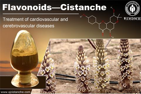 flavonoids cardiovascular cerebrovasular