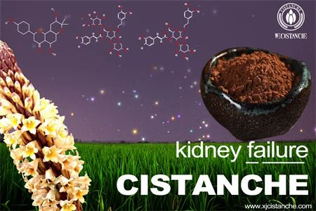 cistanche-kidney failure-4(46)