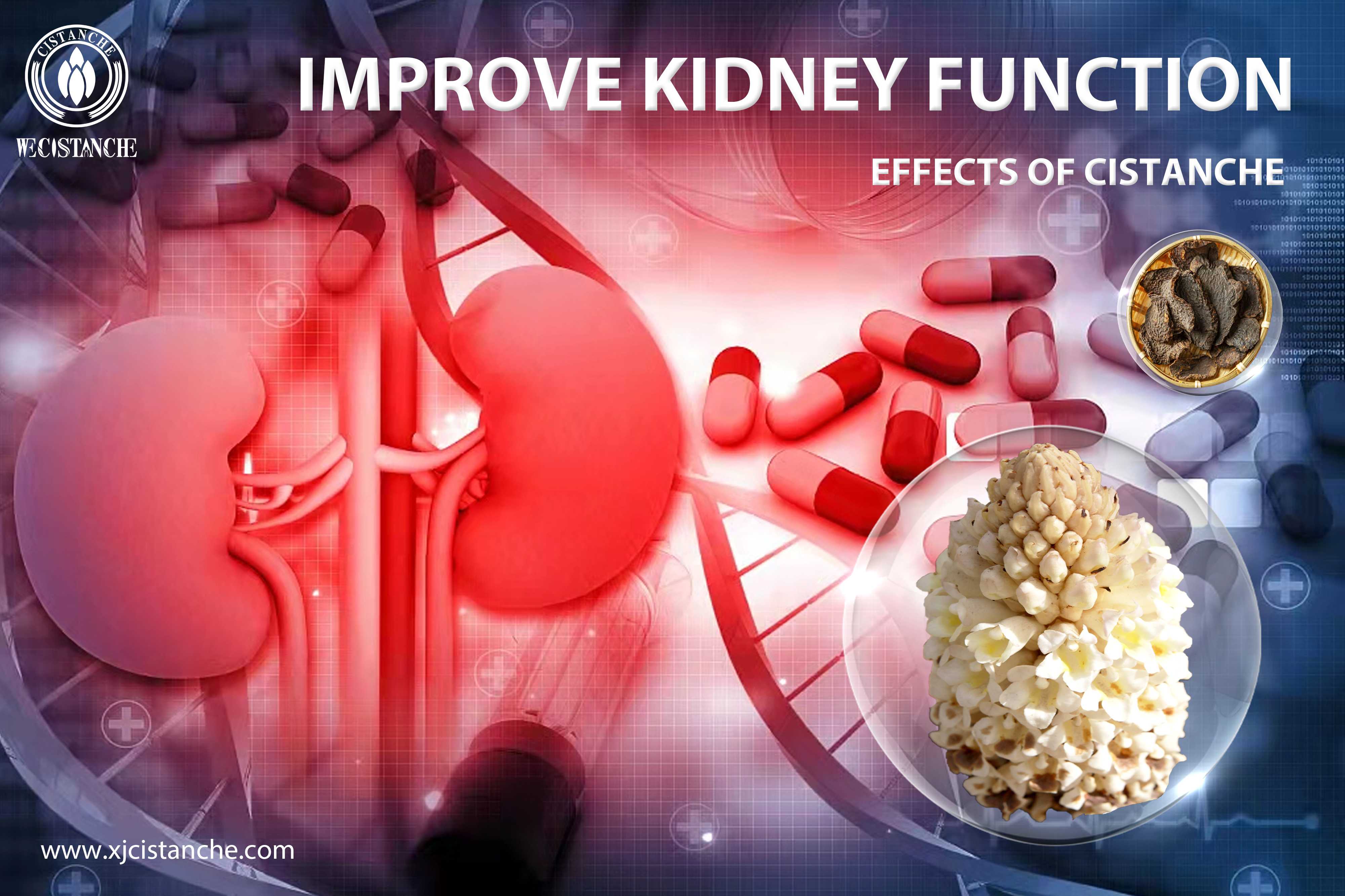 the best herb for kidney disease