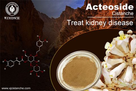cistanche tubolosa benefits: treating kidney diseases