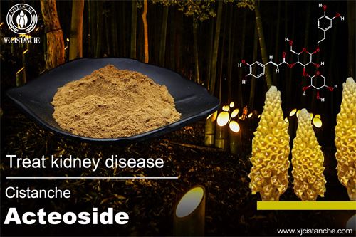 test for flavonoids and cistanche benefícios on diabetes test for flavonoids and cistanche benefícios on diabetes