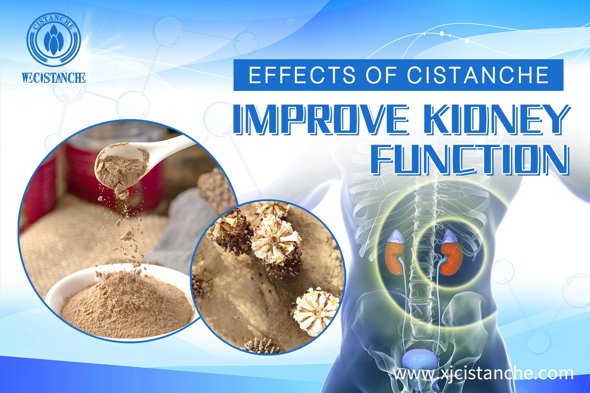 how to improve kidney function