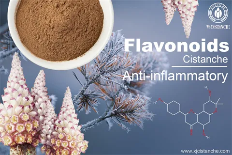 flavonoids flavonoids
