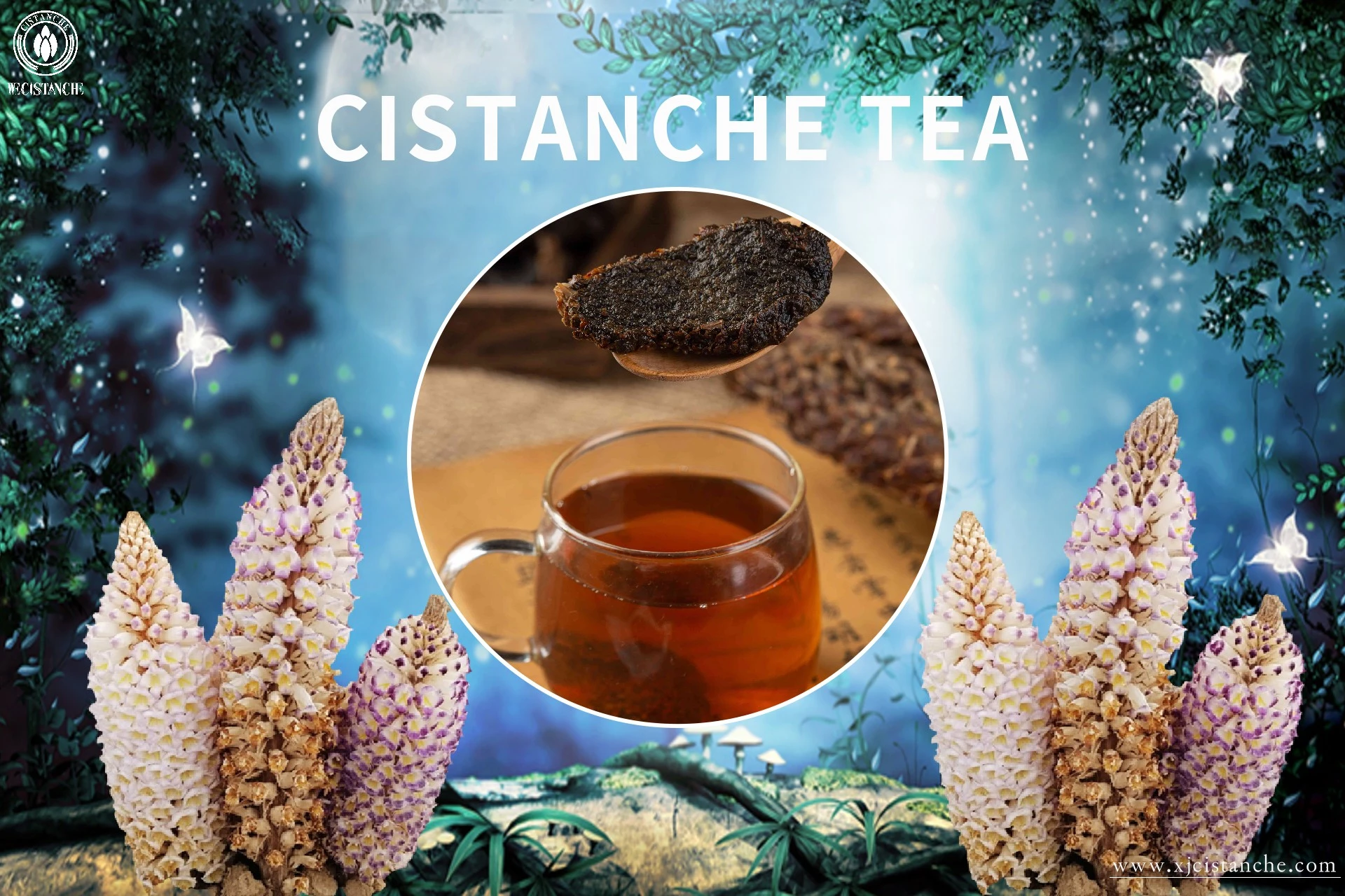 Cistanche tea Cistanche tea