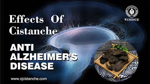Anti Alzheimer's disease (10)