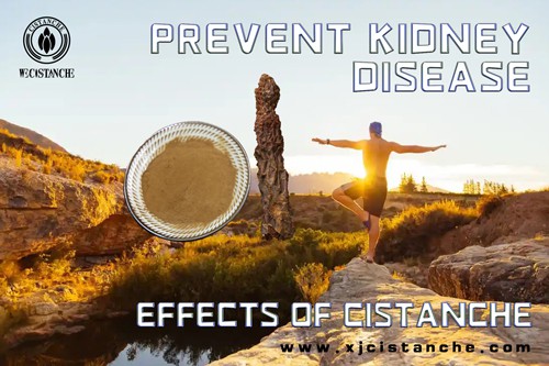 the best herb for ckd
