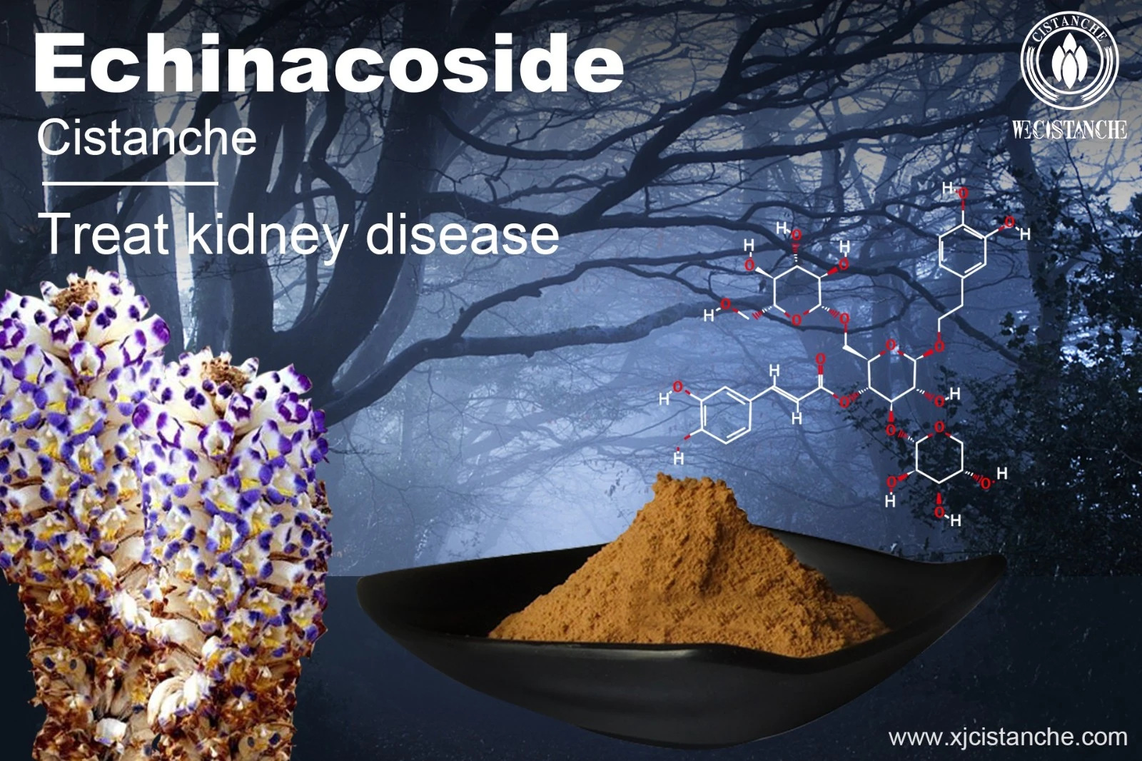 treat kidney disease treat kidney disease