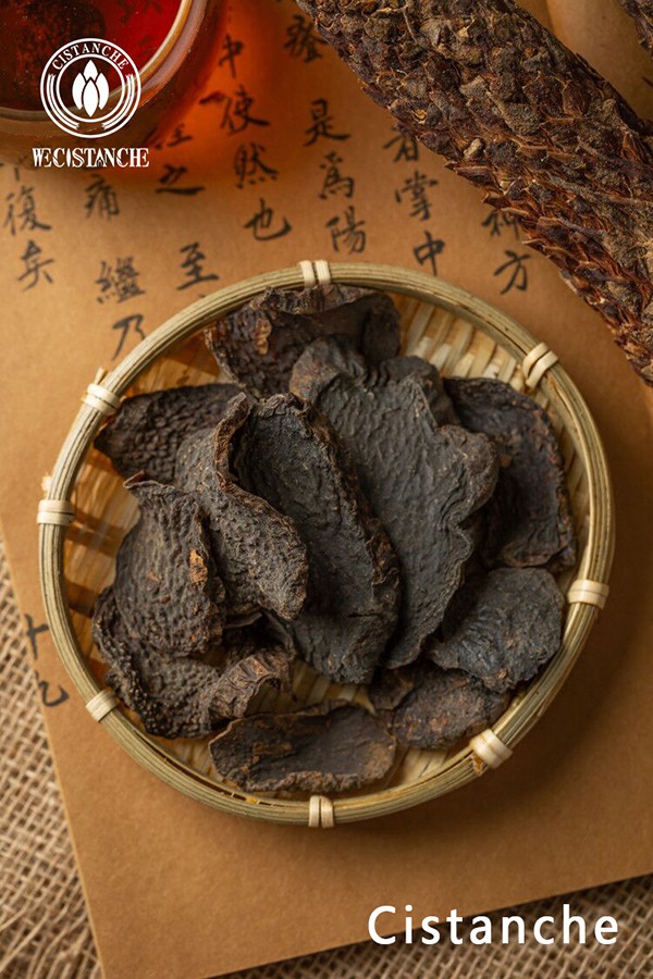 Chinese herb cistanche