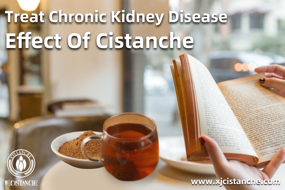 does cistanche raise blood pressure