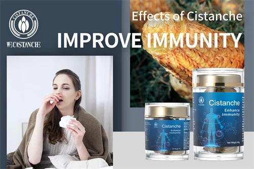 cistanche deserticola supplement