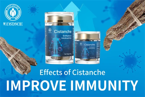 cistanches