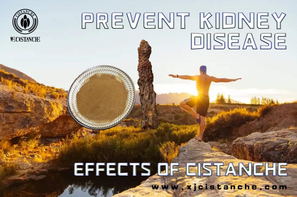 prevent kidney disease prevent kidney disease