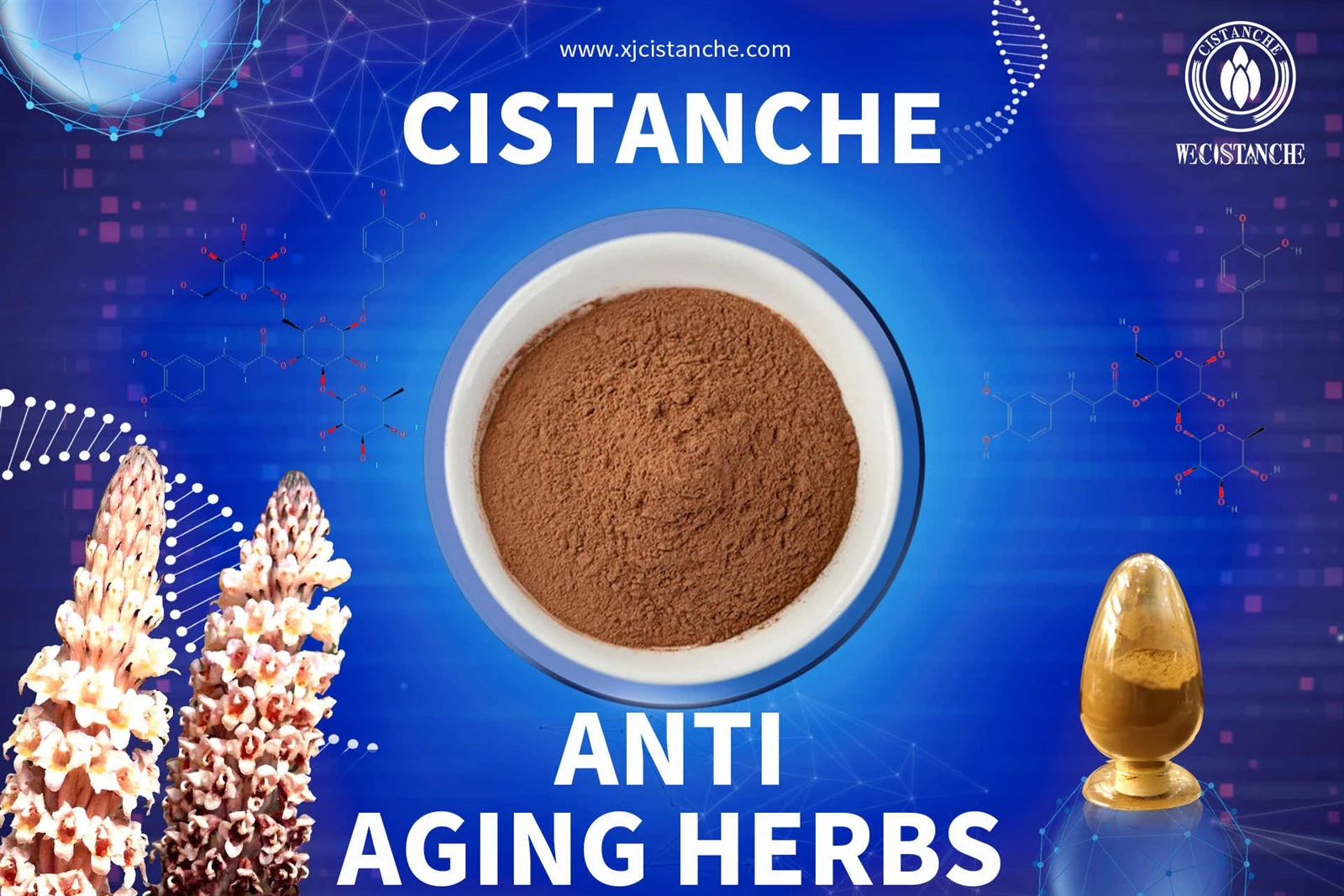 cistanche tablets benefits cistanche tablets benefits