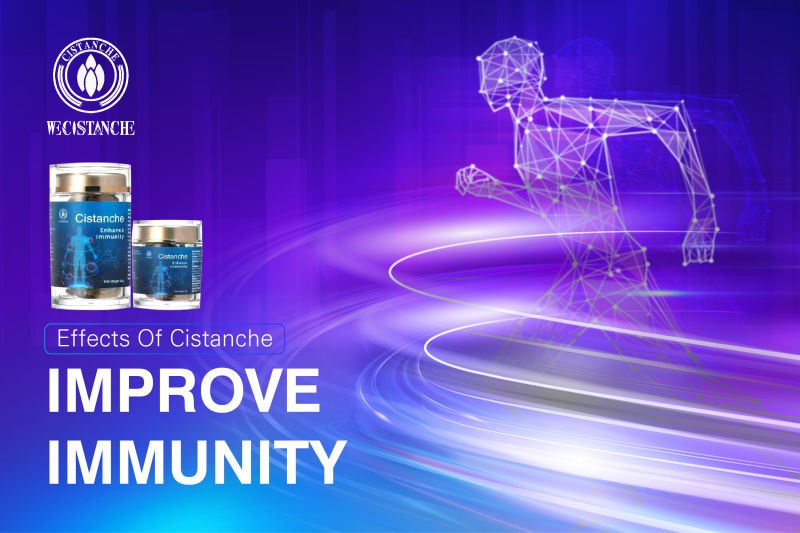 herba cistanches side effects