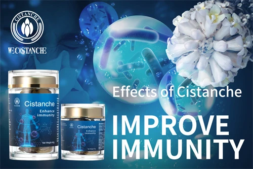 cistanche effects