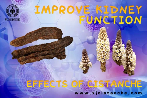 cistanche tubulosa side effects cistanche tubulosa side effects