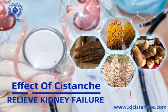 BEST HERBS FOR CKD