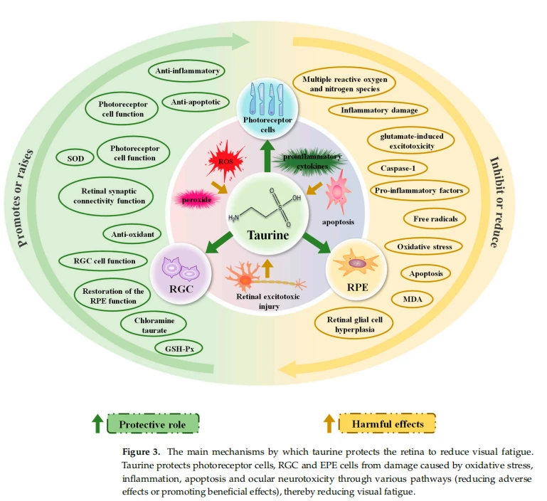 fatigue causes