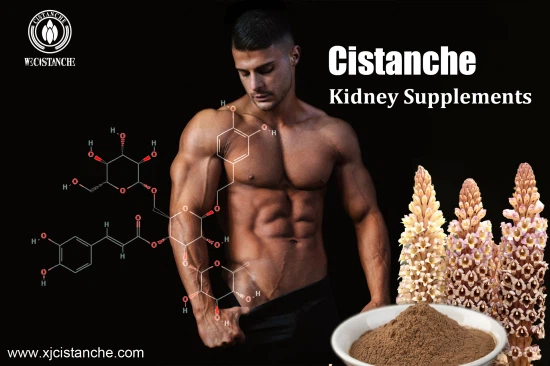 25% ECHINACOSIDE CISTANCHE 25% ECHINACOSIDE CISTANCHE