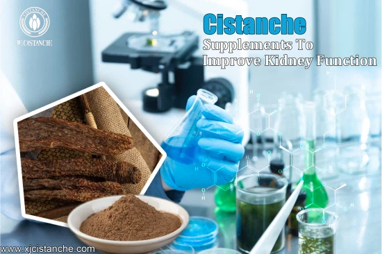 25% echinacoside cistanche for ckd