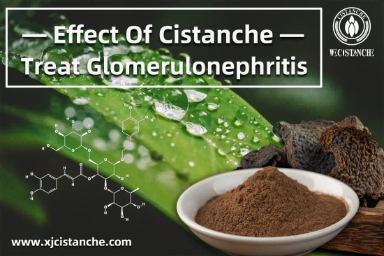 25% echinacoside 9% acteoside cistanche for sell 25% echinacoside 9% acteoside cistanche for sell
