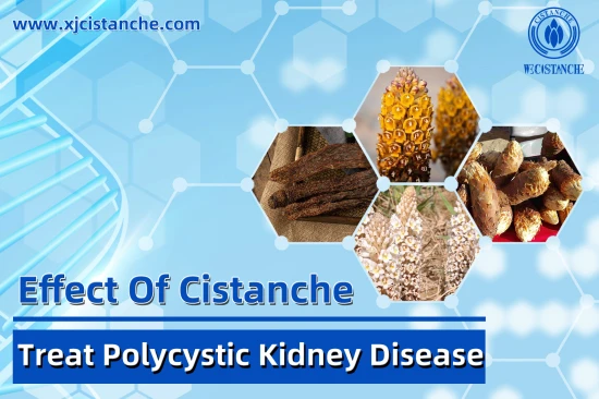 25% echinacoside 9% acteoside cistanche for sell 25% echinacoside 9% acteoside cistanche for sell