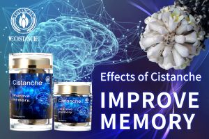 supplements to boost memory