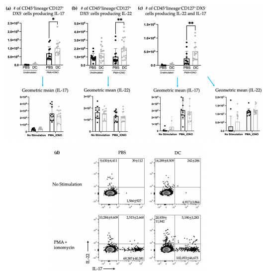 Figure 3. There was an increase in splenic ILC3s producing IL-17 and IL-22 following DC immunization. Female C57BL/6 mice (n = 12–18) were inoculated with DC vaccines via hind footpad injection. The control mice were treated with phosphate-buffered saline (PBS). One week after immunization, spleens were harvested and examined for IL-17- and IL-22-producing ILCs. The number of lineage−CD127+DX5− cells producing (a) IL-17, (b) IL-22, and (c) both IL-17 and IL-22 and their corresponding geometric mean fluorescent intensities were determined using intracellular cytokine staining and flow cytometry. Data were analyzed using a two-way ANOVA test (p-values * < 0.05, ** < 0.005). (d) Representative dot plots show the average number of splenic CD45+ lineage−CD127+DX5− cells producing IL-17 and/or IL-22. The graphs display the mean with the standard deviation.