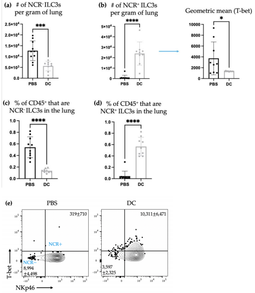 Figure 6. Following DC immunization and challenge with B16F10 cells, there were numerical changes in ILC3 subpopulations in the lungs. Female C57BL/6 mice (n = 10) received DC vaccines via hind footpad injection and one week later, 3 × 105 B16F10 cells were administered intravenously. Three days post-challenge, the lungs were examined using flow cytometry for the number of (a) NCR− ILC3s and (b) NCR+ ILC3s (and the geometric mean fluorescent intensity of T-bet for NCR+ ILC3s) and the percentage of CD45+ cells that were (c) NCR− ILC3s and (d) NCR+ ILC3s. A Student's t-test was used to determine the significance between the subpopulations in the control mice treated with phosphate-buffered saline (PBS) and the DC-inoculated mice (p-values * <0.05, *** <0.0005, and **** < 0.0001). Representative dot plots showing the average number of pulmonary (e) NCR− ILC3s and NCR+ ILC3s. The graphs display the mean with the standard deviation.