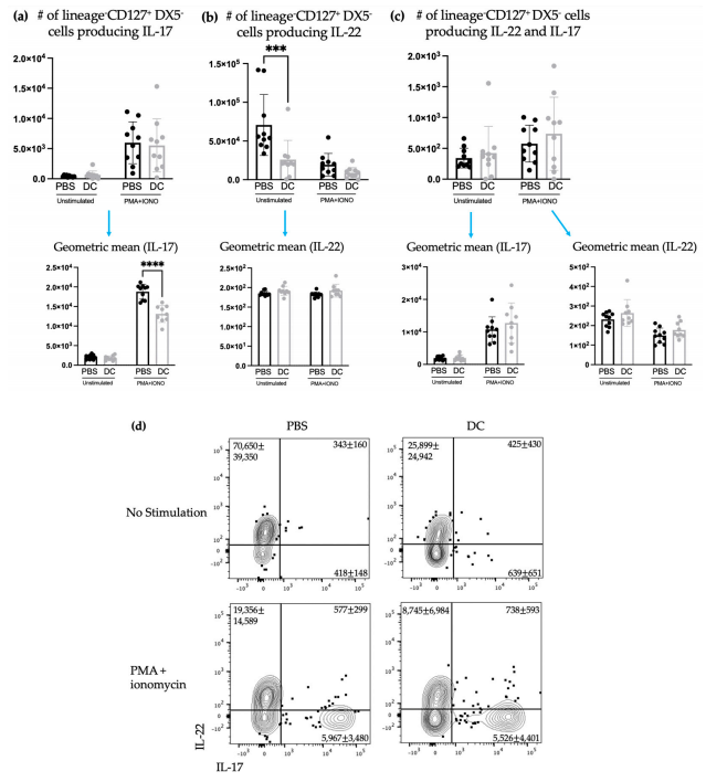 Figure 7. There was no change in the number of ILC3s producing IL-17 and/or IL-22 in the lungs after DC vaccination and challenge with B16F10 melanoma cells. Female C57BL/6 mice (n = 10) were inoculated with DC vaccines via hind footpad injection and one week later, they were intravenously administered with 3 × 105 B16F10 cells. Three days later, the lungs were harvested and examined for ILC3-mediated cytokine production. The number of lineage−CD127+DX5− cells producing (a) IL-17, (b) IL-22, and (c) both IL-17 and IL-22 and their corresponding geometric mean fluorescent intensities were determined using intracellular cytokine staining and flow cytometry. Data were analyzed using a two-way ANOVA test (p-values *** < 0.0005). There was no significant difference in the total number of IL-22-producing, IL-17-producing, and IL-22 and IL-17 multi-cytokine-producing lineage−CD127+DX5− cells. (d) Representative dot plots showing the average number of pulmonary CD45+ lineage−CD127+DX5− cells producing IL-17 and/or IL-22. The standard deviation and mean are represented by the graph bars and error bars.