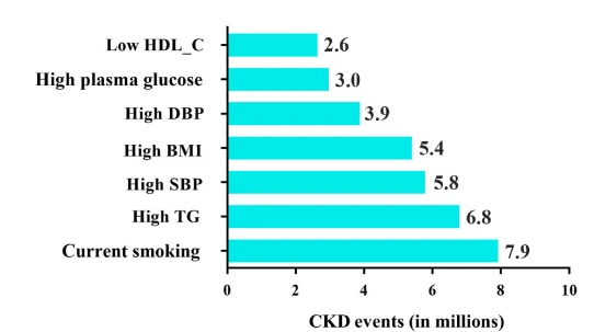CISTANCHE EXTRACT WITH 25% ECHINACOSIDE AND 9% ACTEOSIDE FOR KIDNEY FUNCTION CISTANCHE EXTRACT WITH 25% ECHINACOSIDE AND 9% ACTEOSIDE FOR KIDNEY FUNCTION