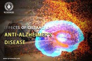 increase brain power increase brain power