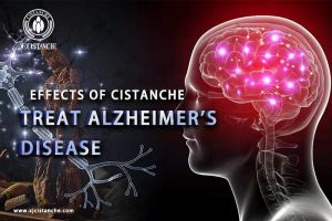 improve your memory improve your memory